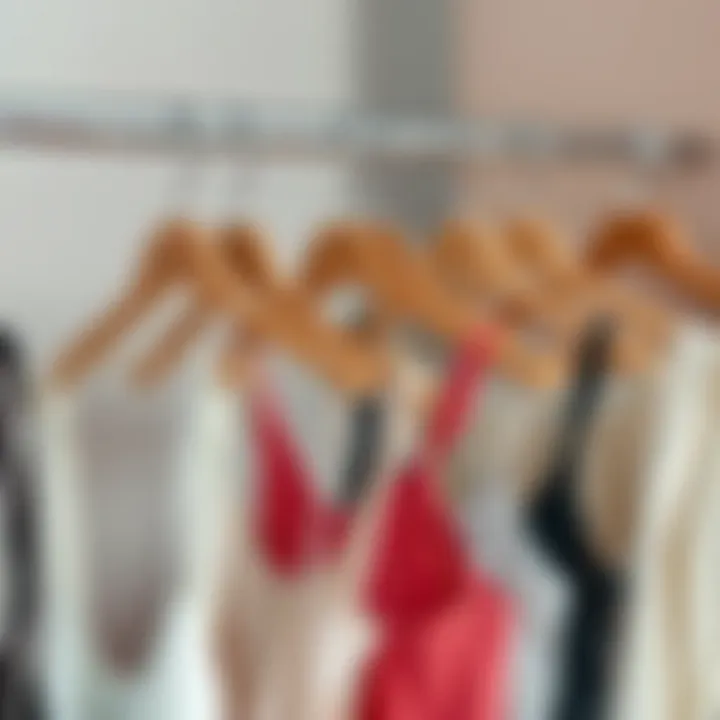 Magnificent The Practicality and Design of Tank Top Organizer Hangers