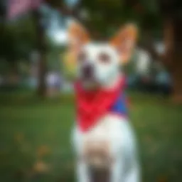 Dog showcasing a vibrant patriotic bandana in a park setting