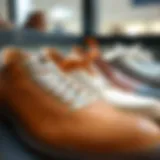 Stylish Gray Round Shoelaces with Different Shoe Types Elegant display of gray round shoelaces styled with various shoe types