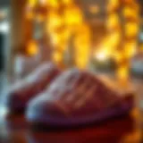 Exploring the World of Massage Slippers for Ladies Introduction