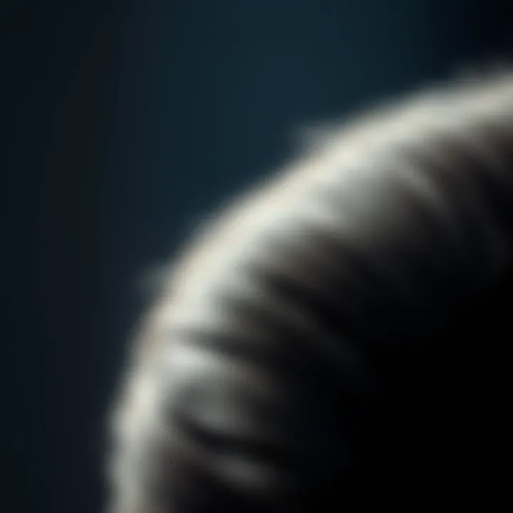 Close-up of synthetic wig fibers demonstrating advanced technology