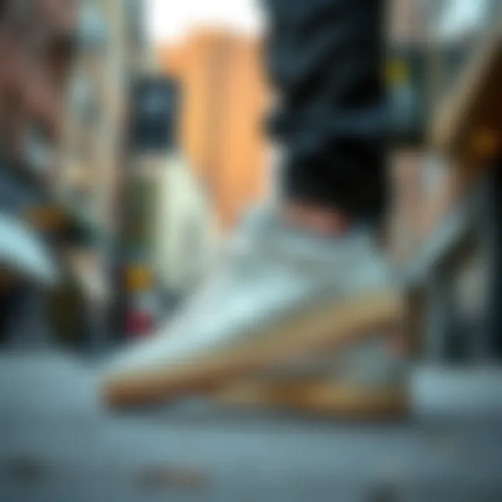 Stylish display of Nike Court Borough footwear in an urban setting
