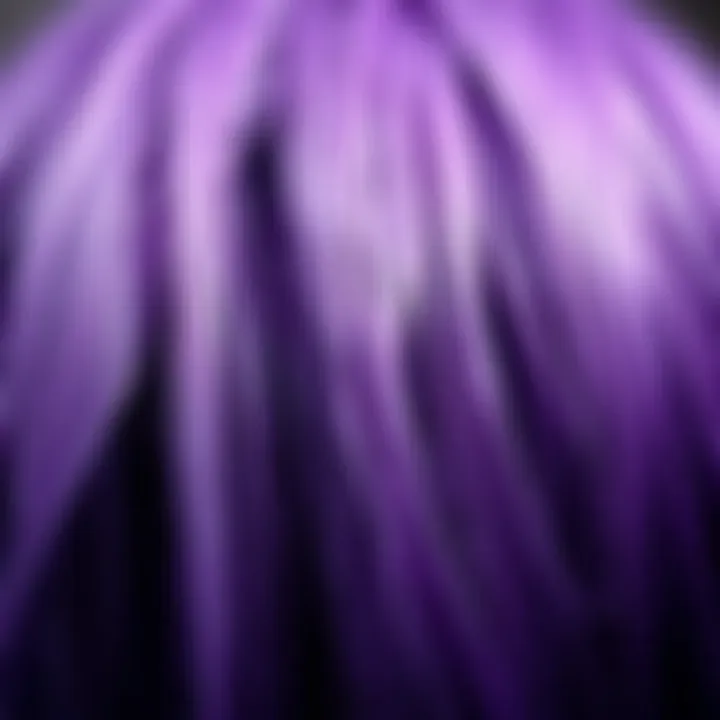 Close-up of the intricate textures and colors of a high-quality purple synthetic wig