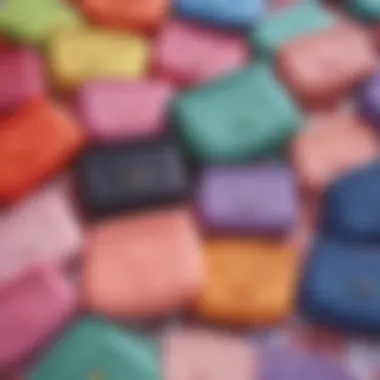 Diversity in Design: The Colorful World of Silicone Change Purses A colorful array of silicone change purses showcasing diverse designs.