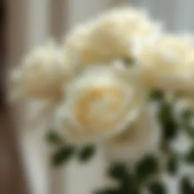 The Allure of White Faux Roses in Fashion and Decor Summary The Allure of White Faux Roses in Fashion and Decor Summary
