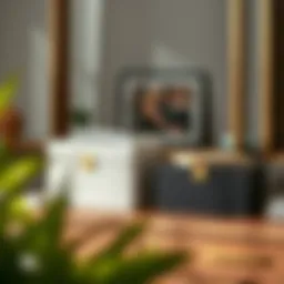 Elegant storage boxes in a modern dresser setting