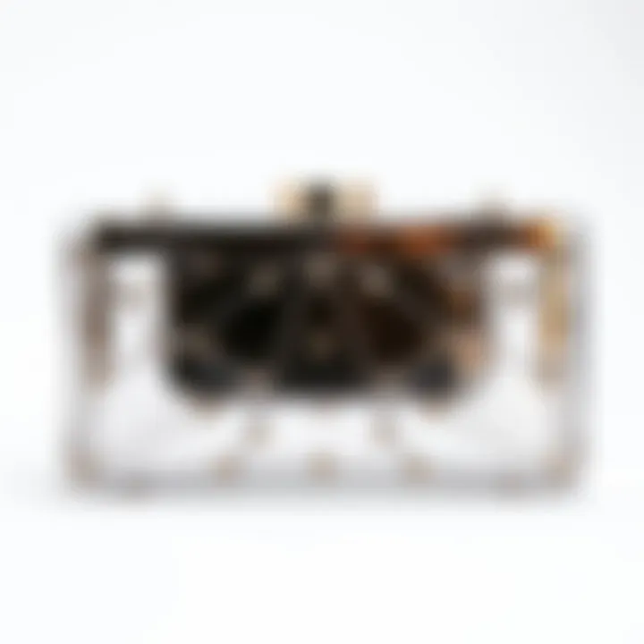 The Role of Transparency in Fashion: A Deep Dive into Transparent Clutches Summary